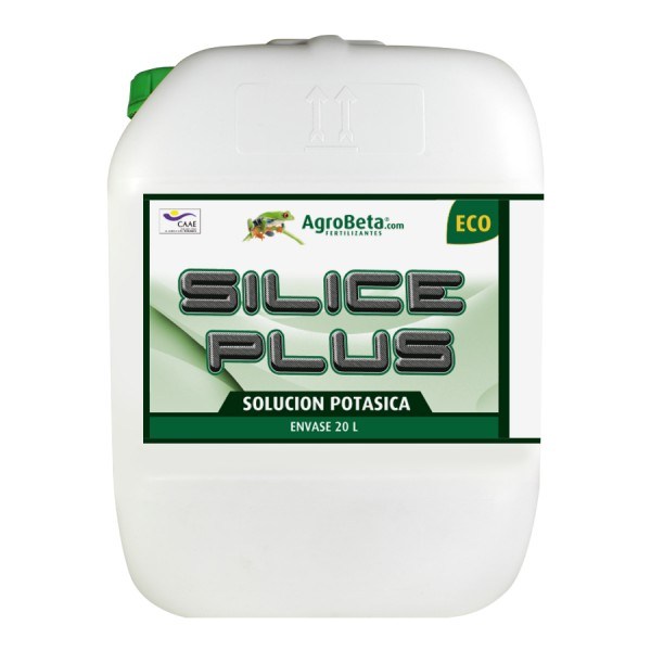 silice-plus 20l3